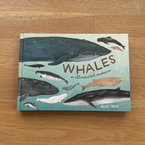 Whales: An Illustrated Celebration by Kelsey Oseid Hardback Nature Book